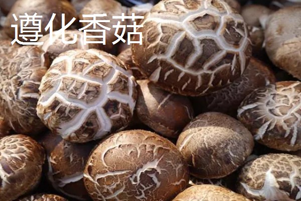 河北遵化市的特产，京东板栗在国内外市场久负盛名