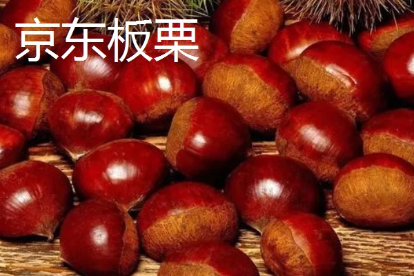 河北遵化市的特产，京东板栗在国内外市场久负盛名