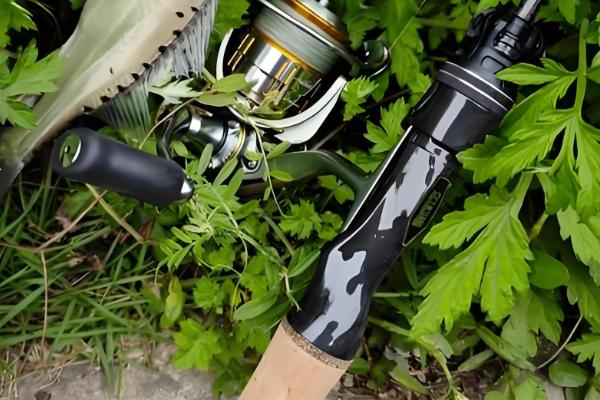 用什么路亚竿钓翘嘴鱼，幻翎、猛禽等品牌值得选择