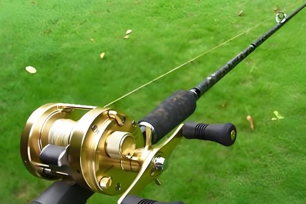 用什么路亚竿钓翘嘴鱼，幻翎、猛禽等品牌值得选择