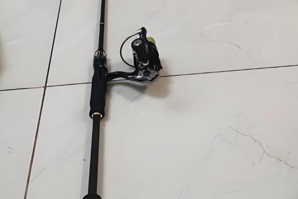 用什么路亚竿钓翘嘴鱼，幻翎、猛禽等品牌值得选择