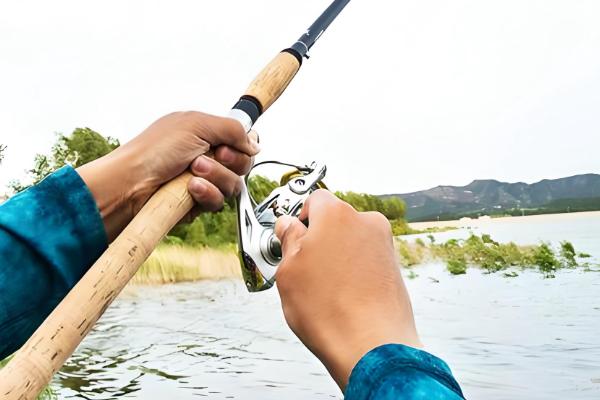 用什么路亚竿钓翘嘴鱼，幻翎、猛禽等品牌值得选择