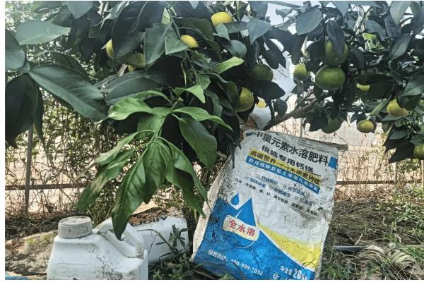 钙肥的简介，是指标明钙含量的肥料