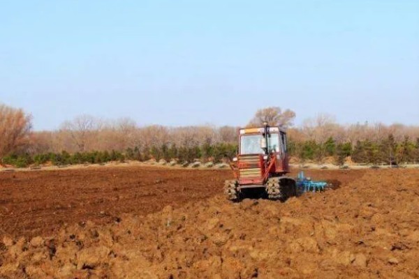 怎样养姜花，以秋季9-10月及春季2-3月种植为宜