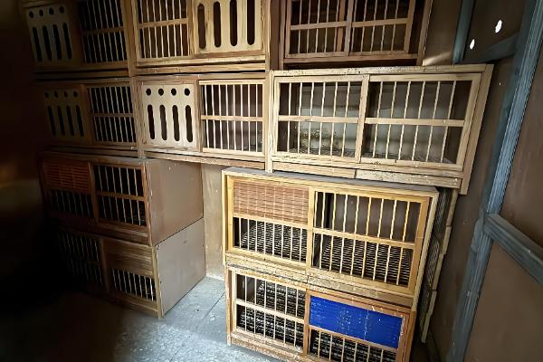 建造简易鸽舍的方法，使用泡沫箱、砖头等材料