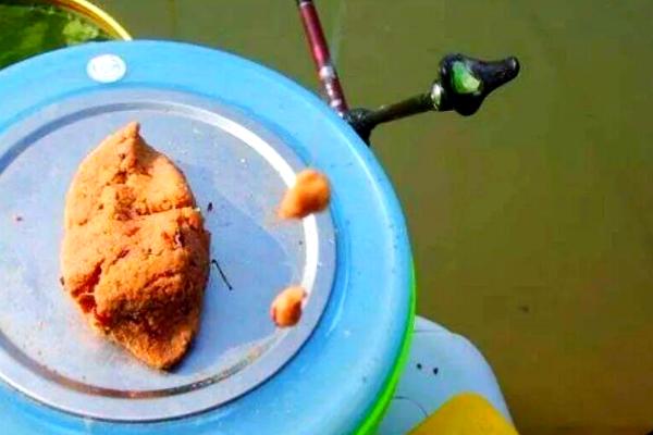 6月份钓鱼用哪种味型的饵料,麸香、谷香、酒香等味型是适宜选择