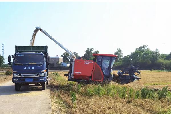 农机跨区作业的注意事项，轴承使用及其维修要多留心