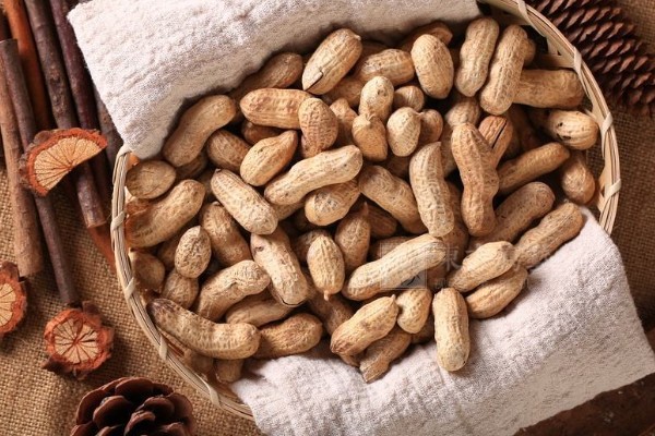 花生有什么特点，良质花生颗粒较饱满、形态完整