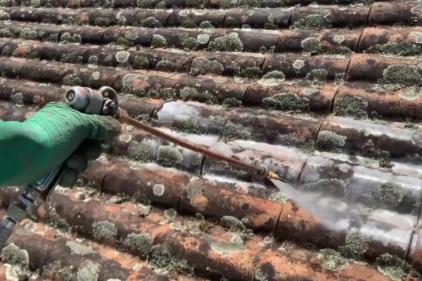 香菇怎么栽培,菌袋上面要扎出小孔