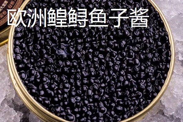 鱼子酱的价格,不同品种的售价有很大差异