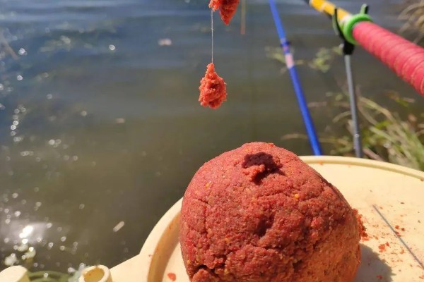 野钓鲤鱼选择哪种小药,春季至秋季以果味、甜味、奶味为宜