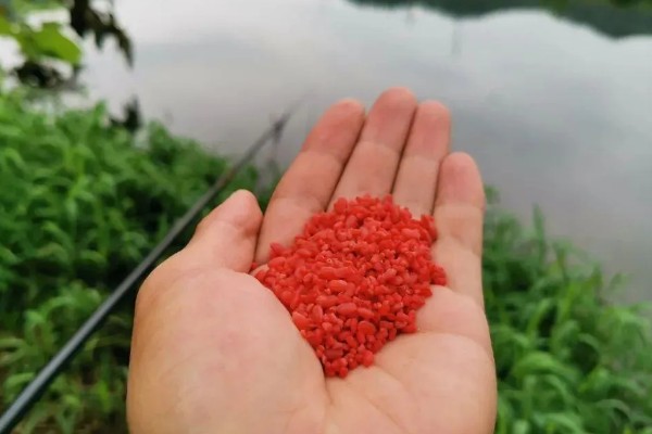 野钓鲤鱼选择哪种小药,春季至秋季以果味、甜味、奶味为宜