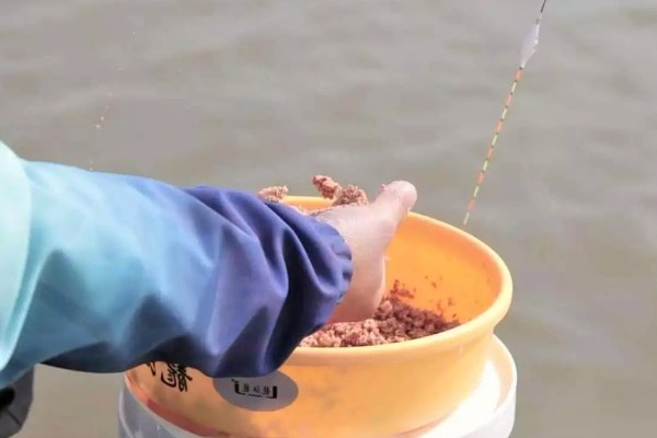 野钓鲤鱼选择哪种小药,春季至秋季以果味、甜味、奶味为宜