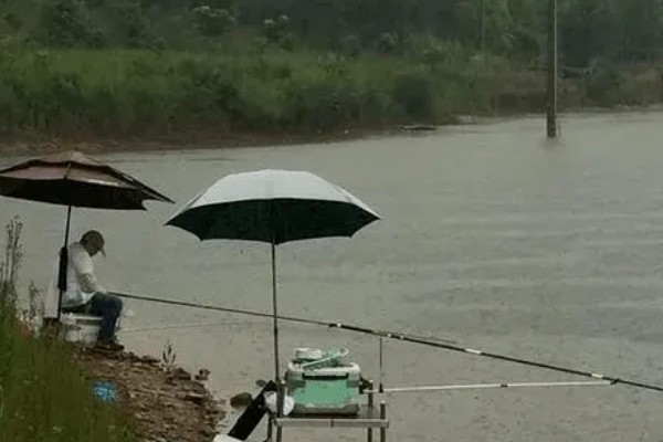 钓草鱼用几号几号线和鱼钩，一般用5号主线、4号子线