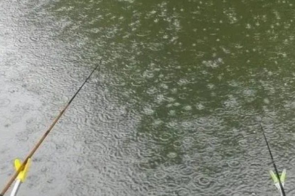 钓草鱼用几号几号线和鱼钩，一般用5号主线、4号子线