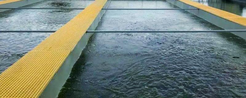 青鱼怎么养殖，夏季每天投喂4次