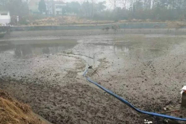 青鱼怎么养殖，夏季每天投喂4次