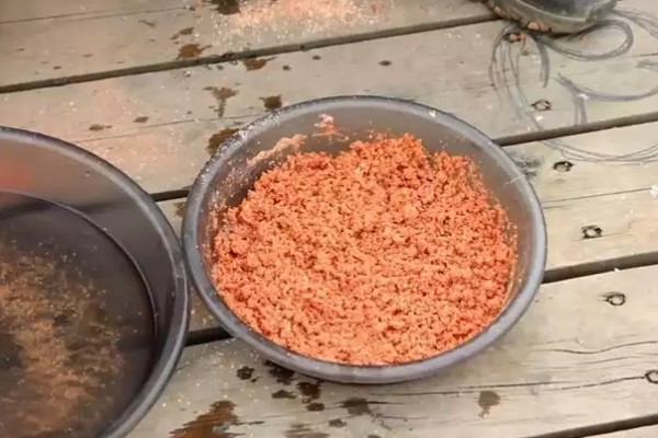 青鱼怎么养殖，夏季每天投喂4次