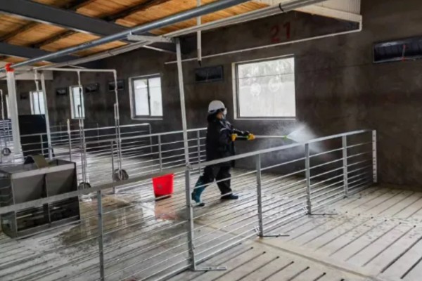 猪流感打什么针，肌肉注射百尔定