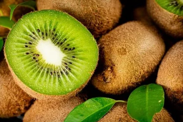 猕猴桃是热带水果吗,不属于热带水果