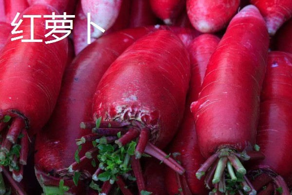 萝卜的品种，常见的有胡萝卜、白萝卜等