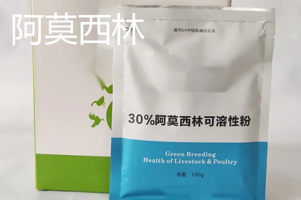 副猪用什么药治疗,可使用副猪康、阿莫西林等