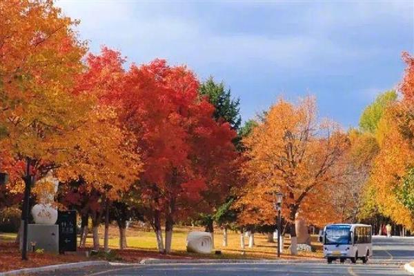 立秋的晒秋民俗是什么，是指晒丰收的农作物