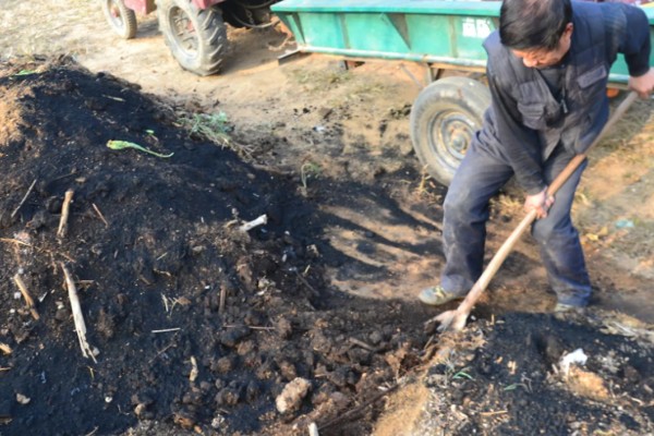 种植葡萄的注意事项,秋季落叶前后要深翻果园