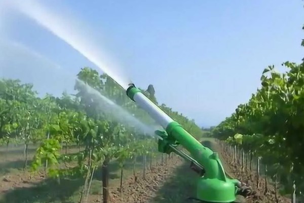 种植葡萄的注意事项,秋季落叶前后要深翻果园