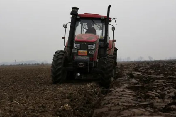 种植葡萄的注意事项,秋季落叶前后要深翻果园