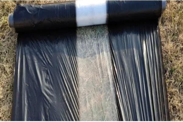 农膜的种类,分为无色透明地膜、黑色地膜等类型