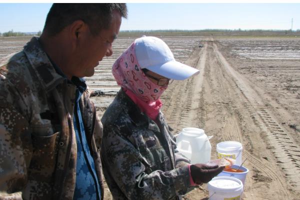 农膜的种类,分为无色透明地膜、黑色地膜等类型