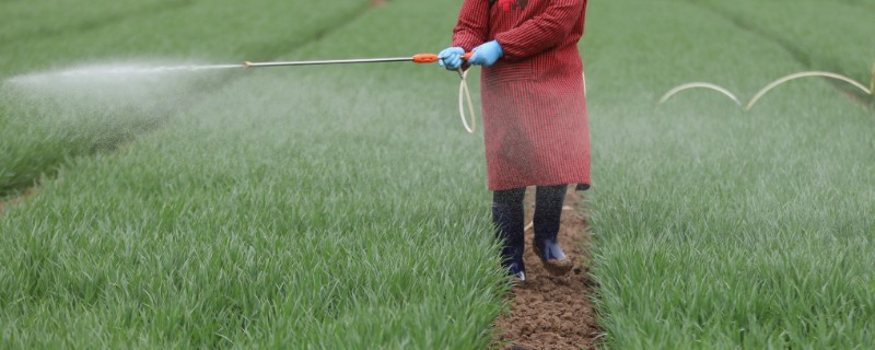 冬季农药施用注意事项，要选择晴天高温时段用药