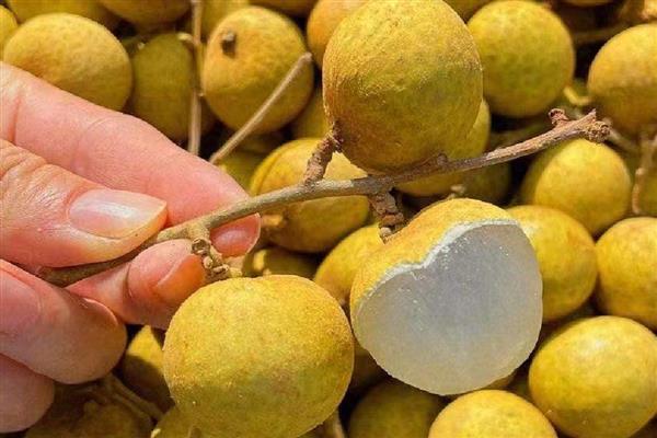 龙眼的价格，各个地区的价格不同