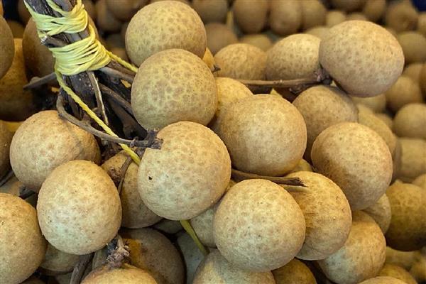 龙眼的价格，各个地区的价格不同