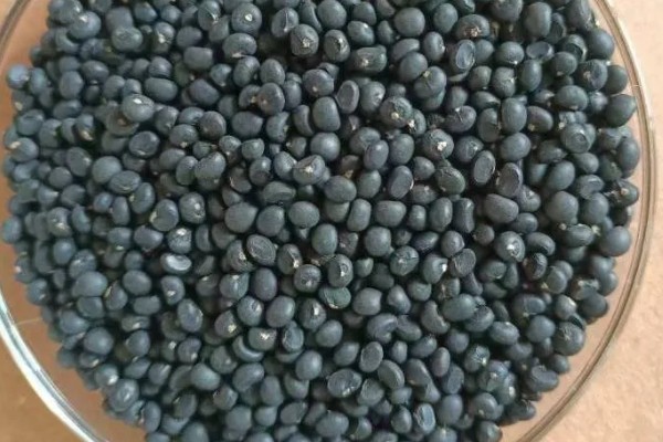 芦笋如何浸种催芽，播种前将其置于阳光下暴晒2-3天