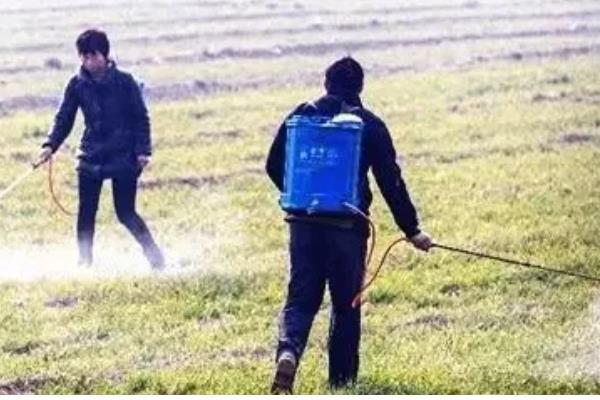 冬季农药施用注意事项，要选择晴天高温时段用药