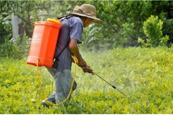 冬季农药施用注意事项，要选择晴天高温时段用药