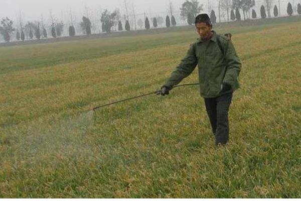 冬季农药施用注意事项，要选择晴天高温时段用药