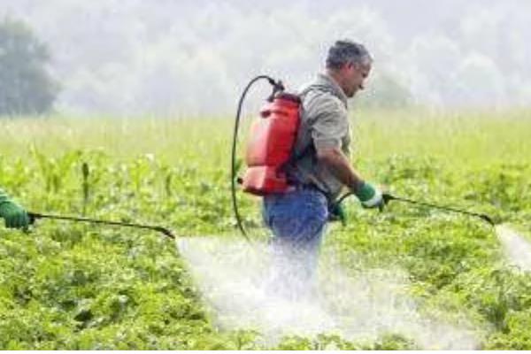冬季农药施用注意事项，要选择晴天高温时段用药