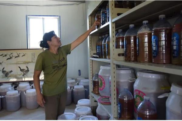 冬季农药施用注意事项，要选择晴天高温时段用药