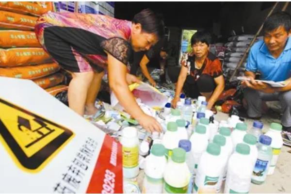 冬季农药施用注意事项，要选择晴天高温时段用药