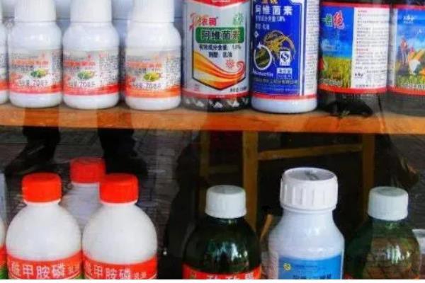 冬季农药施用注意事项，要选择晴天高温时段用药