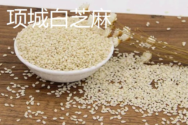 河南周口市的特产,孔集烧鸡曾获得金牌小吃的荣誉