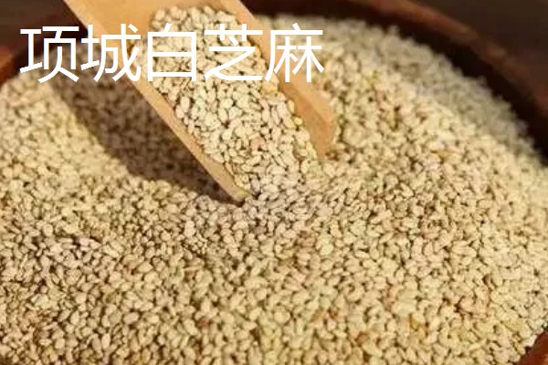 河南周口市的特产,孔集烧鸡曾获得金牌小吃的荣誉