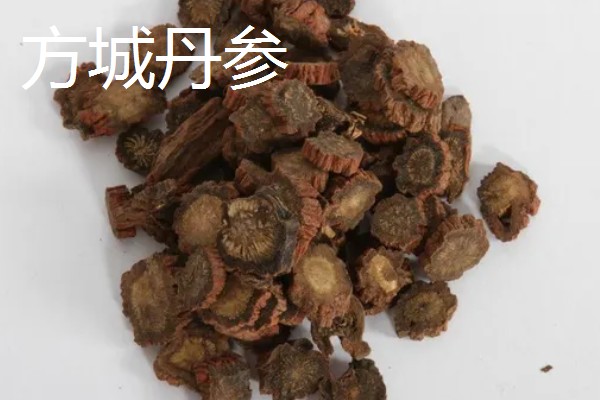 河南周口市的特产,孔集烧鸡曾获得金牌小吃的荣誉