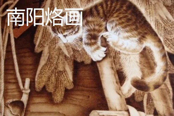 河南周口市的特产,孔集烧鸡曾获得金牌小吃的荣誉