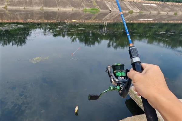 路亚鱼竿要铅坠吗,通常是不用