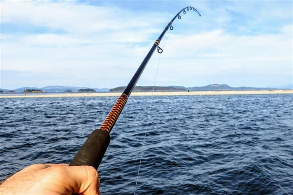 路亚鱼竿要铅坠吗,通常是不用