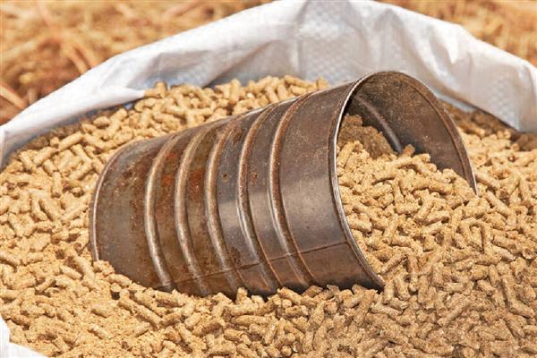 猪饲料的配方，用麦麸、玉米、鱼粉等材料配制